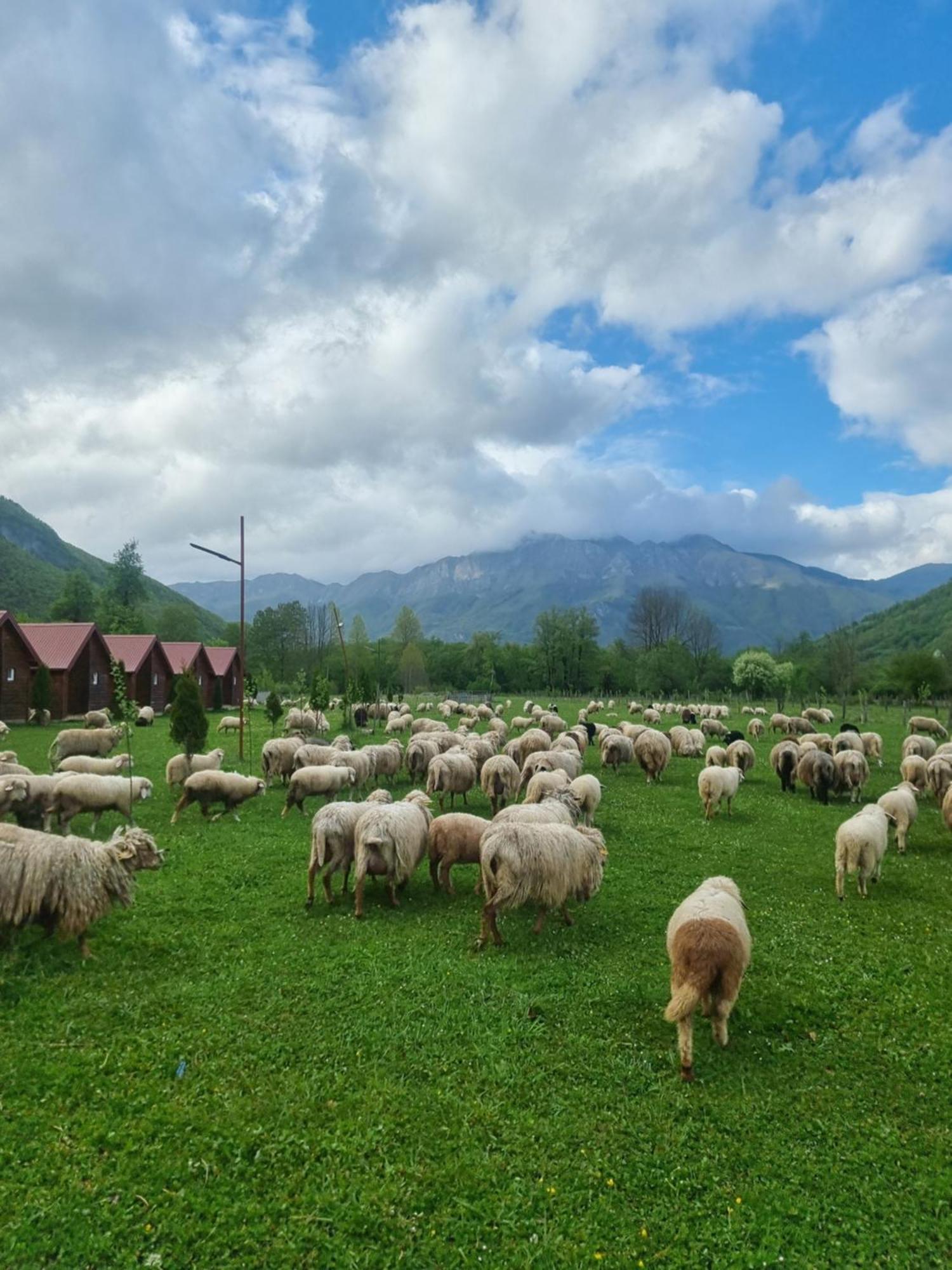 Hotel Ethno Katun Rosi Agrotourism Gusinje Exterior foto